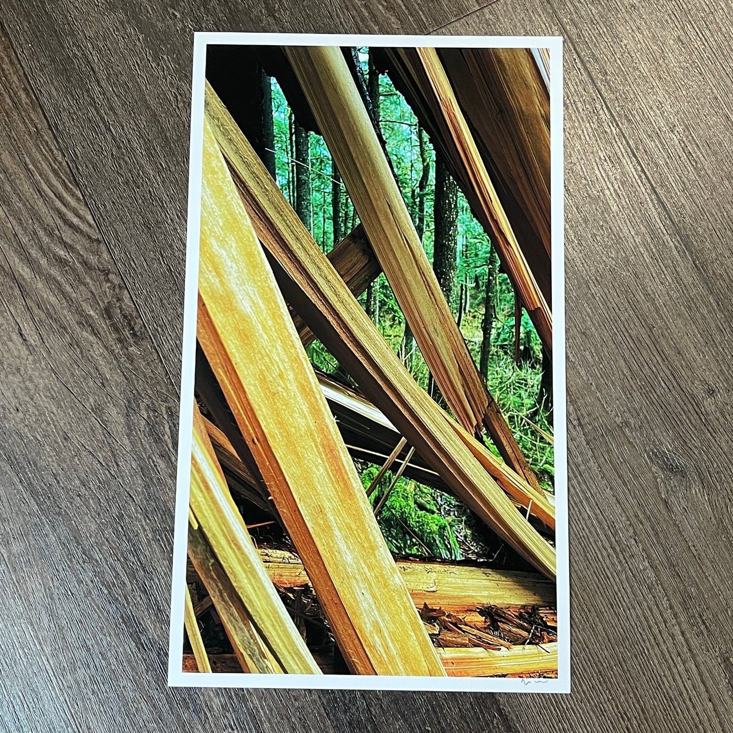 reference photo1