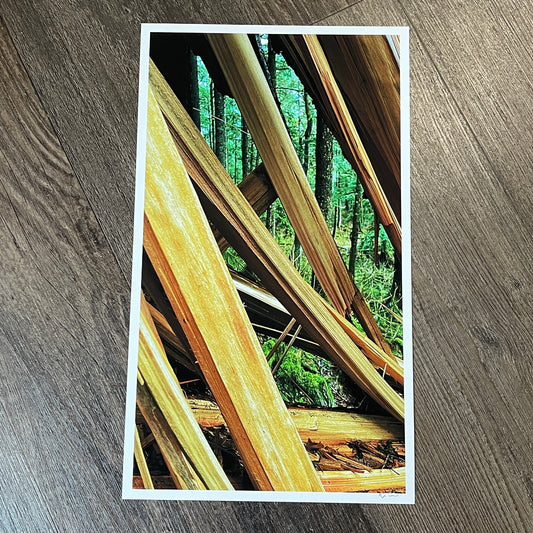 reference photo1