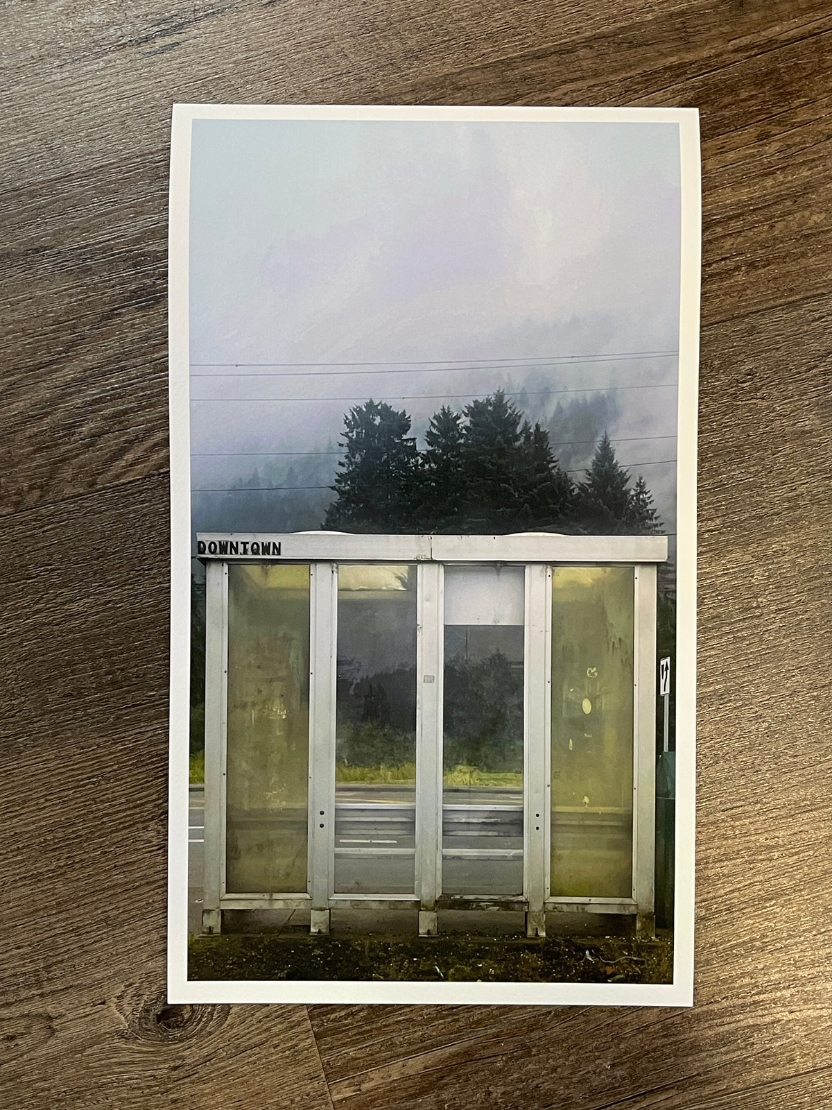 reference photo4